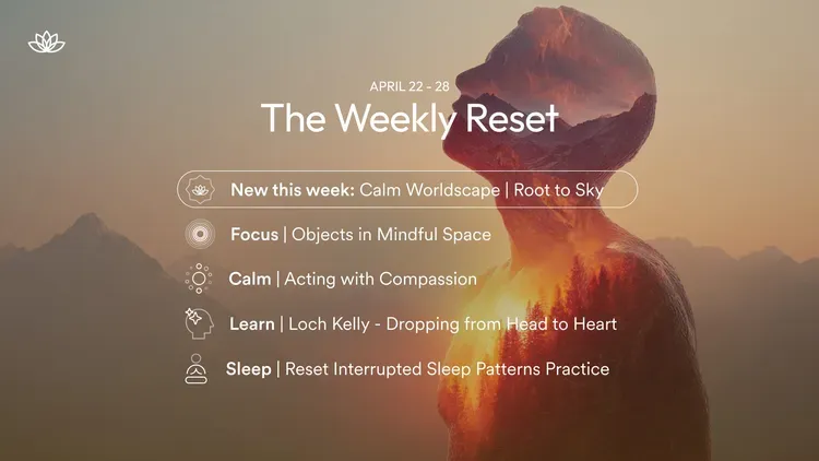 Developer update image for The Weekly Reset: April Week 4