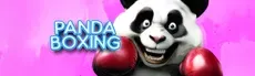 Panda Boxing hero image