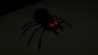 Primal Rage screenshot 0