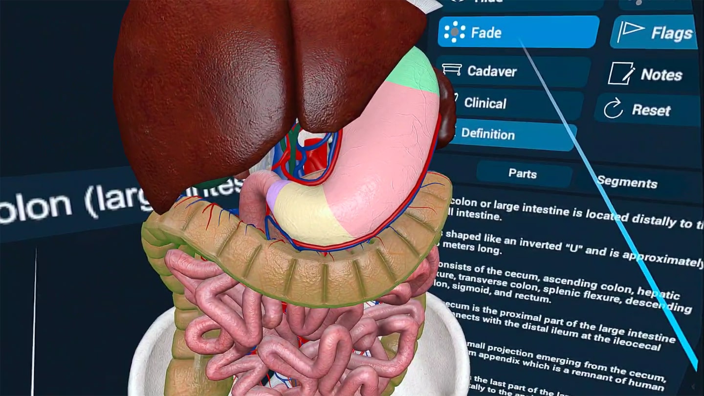 3D Organon XR trailer 0