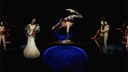 Cirque du Soleil screenshot 3