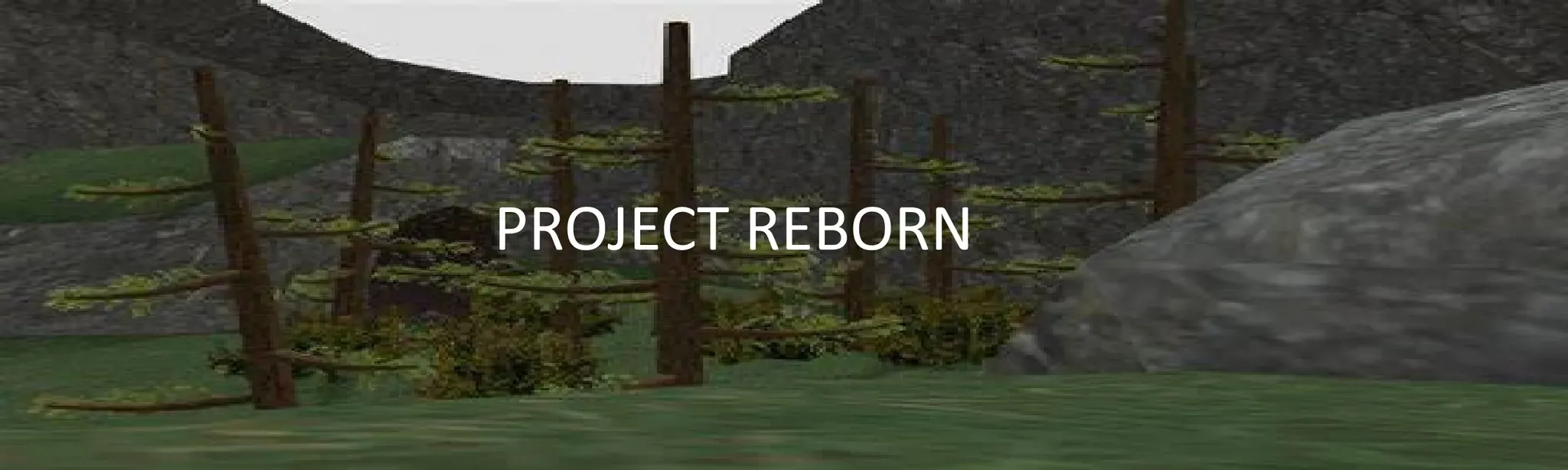 Project Reborn
