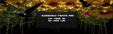 Kosenko-Yeats MR: Let there be no more war hero image