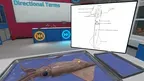 Dissection Simulator: Invertebrate Edition screenshot 2