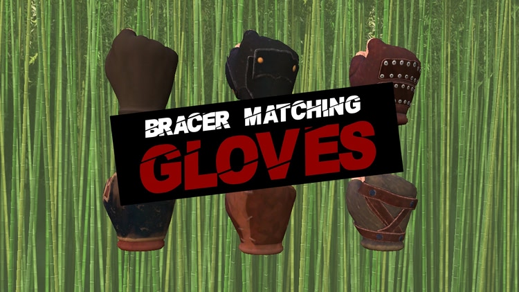 Developer update image for Bracer matching gloves!