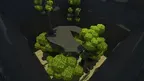 Primate Plaground screenshot 4