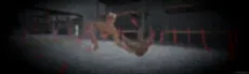 Lethal Ape 4 hero image