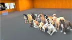 Top Tier K9 screenshot 2