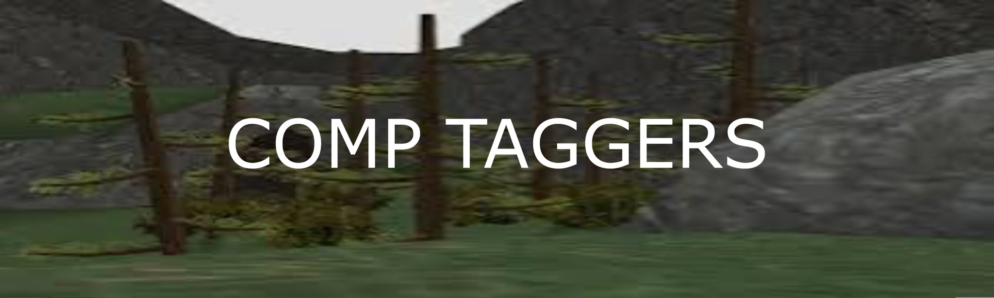 Comp Taggers