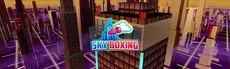 Sky Boxing hero image