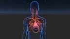 Awake Heart screenshot 1