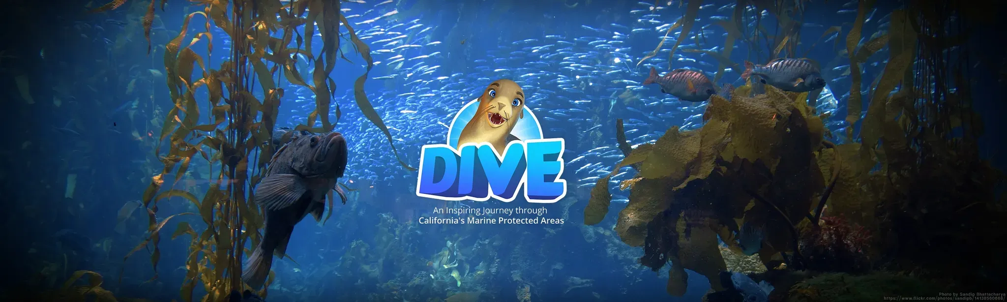 DIVE: Journey through California's MPA