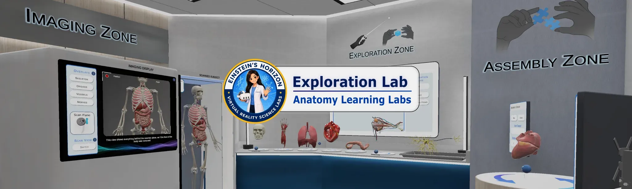 Anatomy Learning Labs: Exploration Lab
