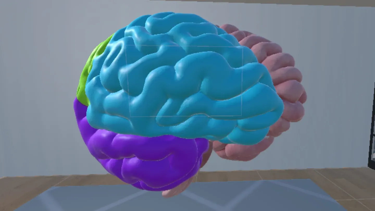 Human Brain Time cover image