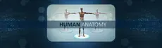 Human Anatomy hero image