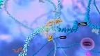 10k Science screenshot 1