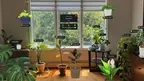 Chloro - Houseplant Care Tool screenshot 5