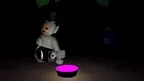 Tubby Protocol screenshot 1